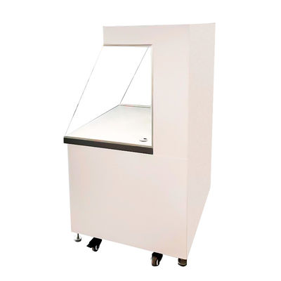 SUS 304 Armoire à débit d'air laminaire horizontale avec classe 100-10000 Propreté personnalisée et vitesse de l'air de 0,45 m/s