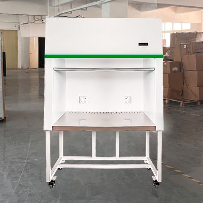 Banc de nettoyage de hotte à flux laminaire horizontal économique avec logo personnalisé et acier inoxydable SUS304 pour une propreté de classe 100-10000