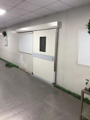 Porte coulissante en acier industrielle automatique. 1500 kg de capacité de charge et IP65 résistant aux intempéries pour entrepôt / quai.